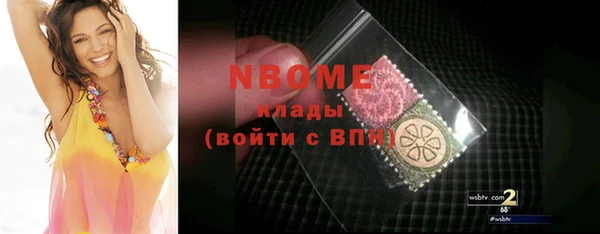 твердый Бородино