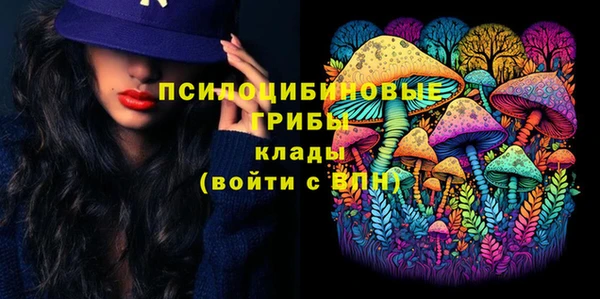 твердый Бородино