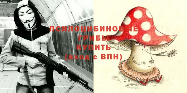 твердый Бородино
