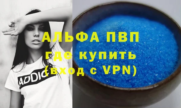 твердый Бородино
