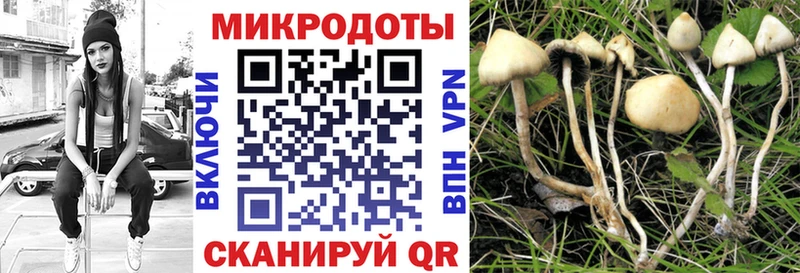 shop какой сайт  Заинск  Галлюциногенные грибы мицелий 